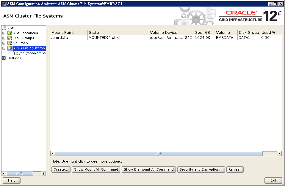 12c ACFS 使用手冊