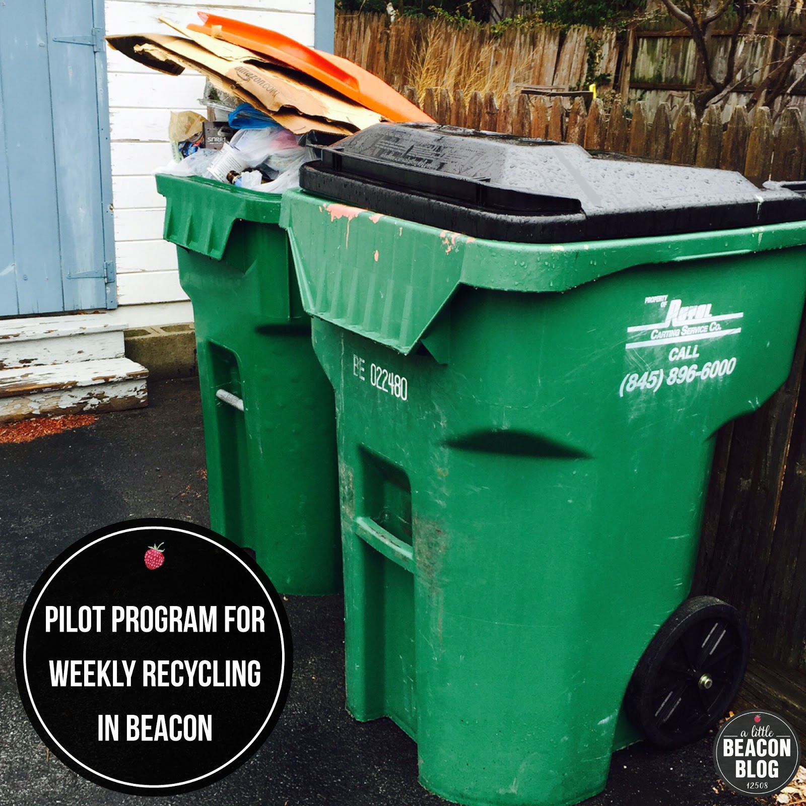 Pilot Program for Weekly Recycling Pickup from Royal Carting Begins in