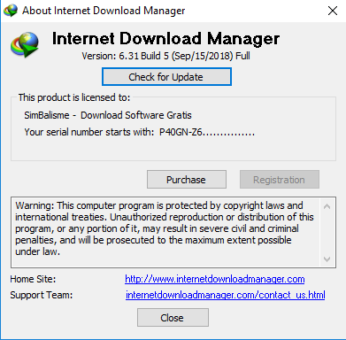 Download Internet Download Manager 6.31 Build 5 Full Version