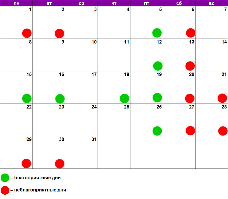 календарная январь 2024. календарь декабрь 2023 январь 2024. календарь на январь 2024г. календарь маникюра на январь 2024. календарь для заметок 2023.