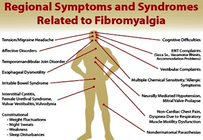 fibro symptoms 