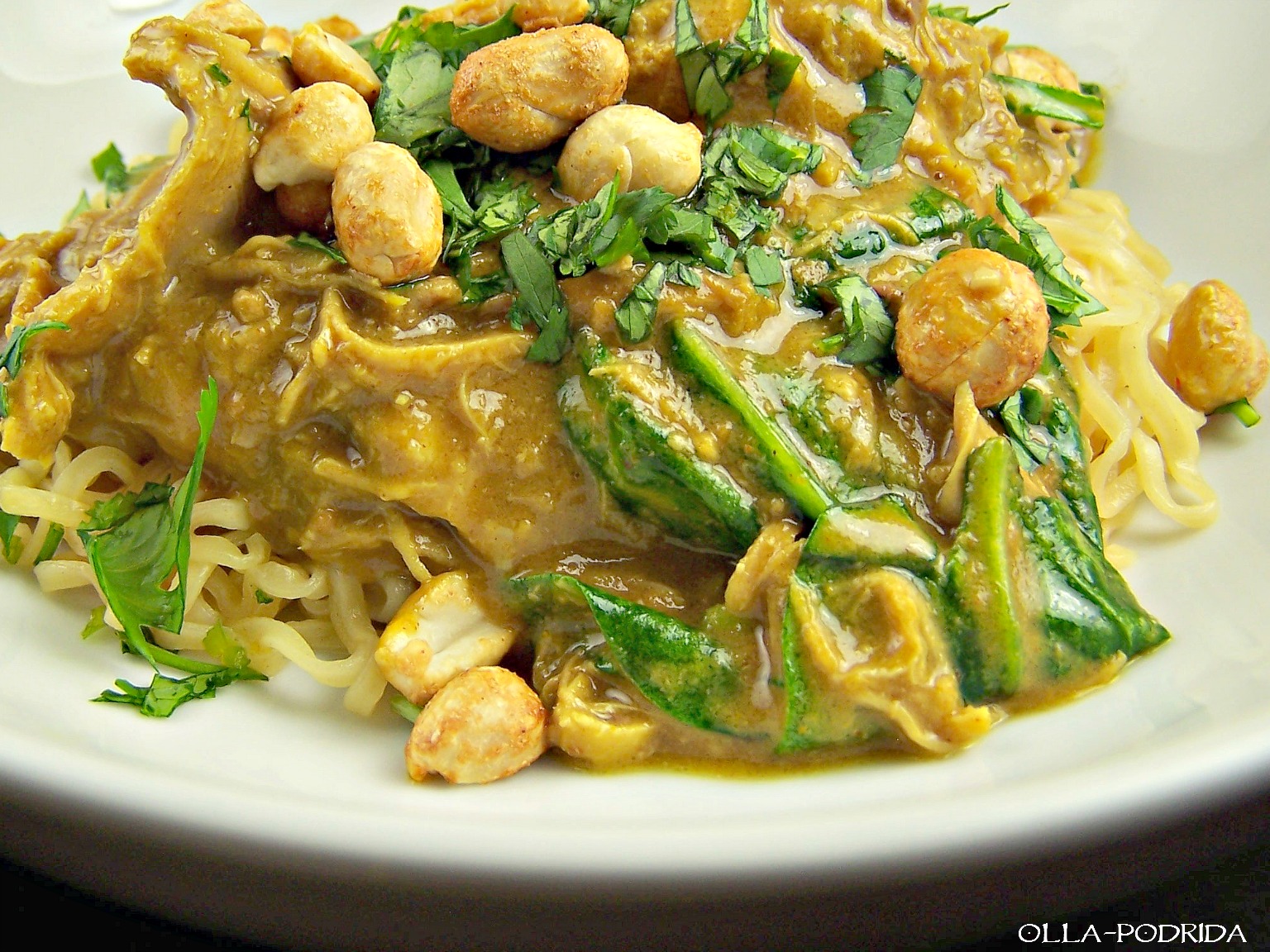 OllaPodrida Slow Cooker Thai Peanut Chicken