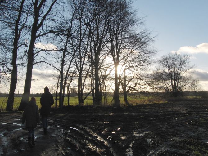 Jahreszeitenbriefe Mein Freund Der Baum 34