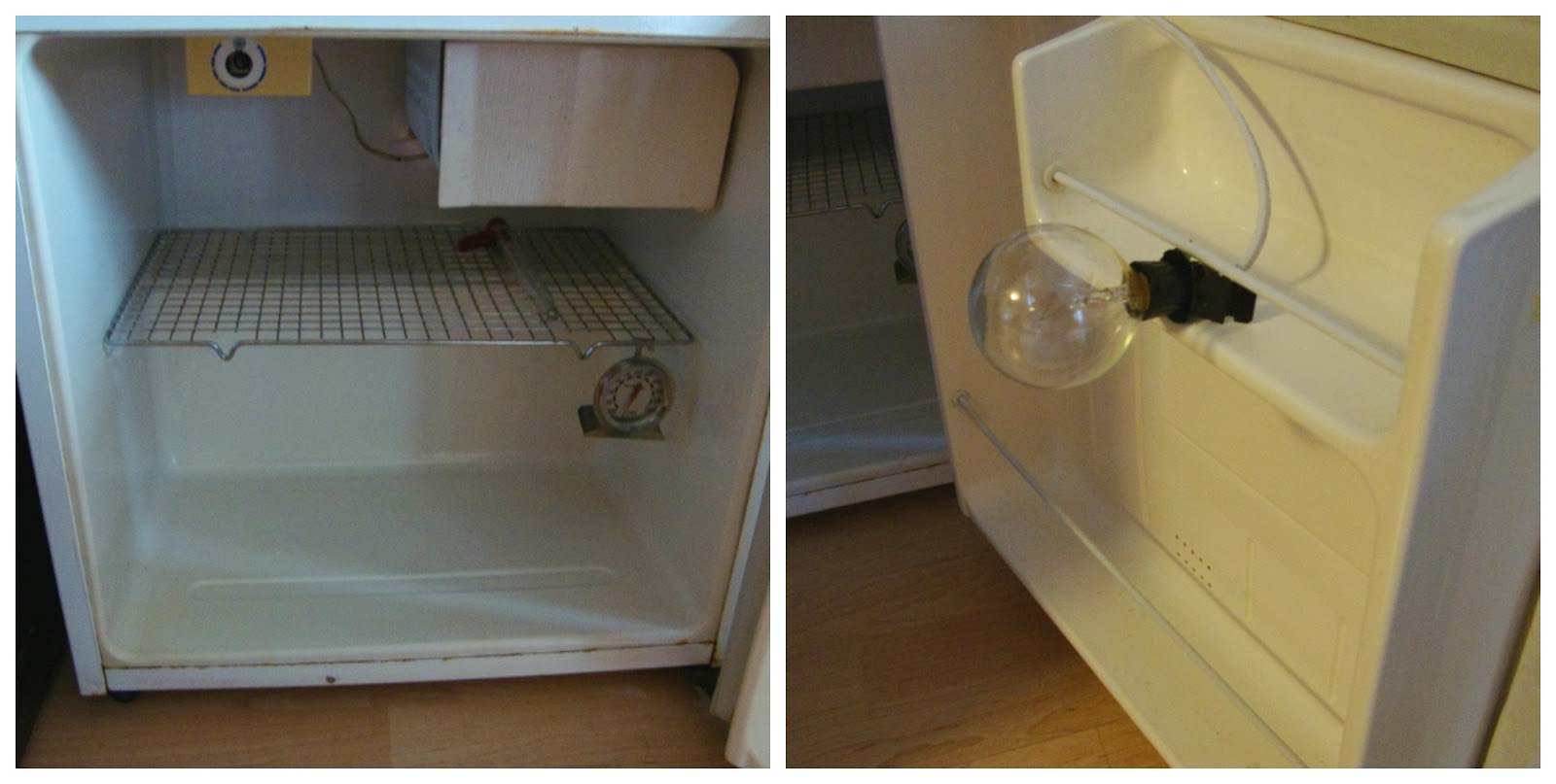 The Green Life Housewife Homemade Tempeh Incubator from an Old MiniFridge