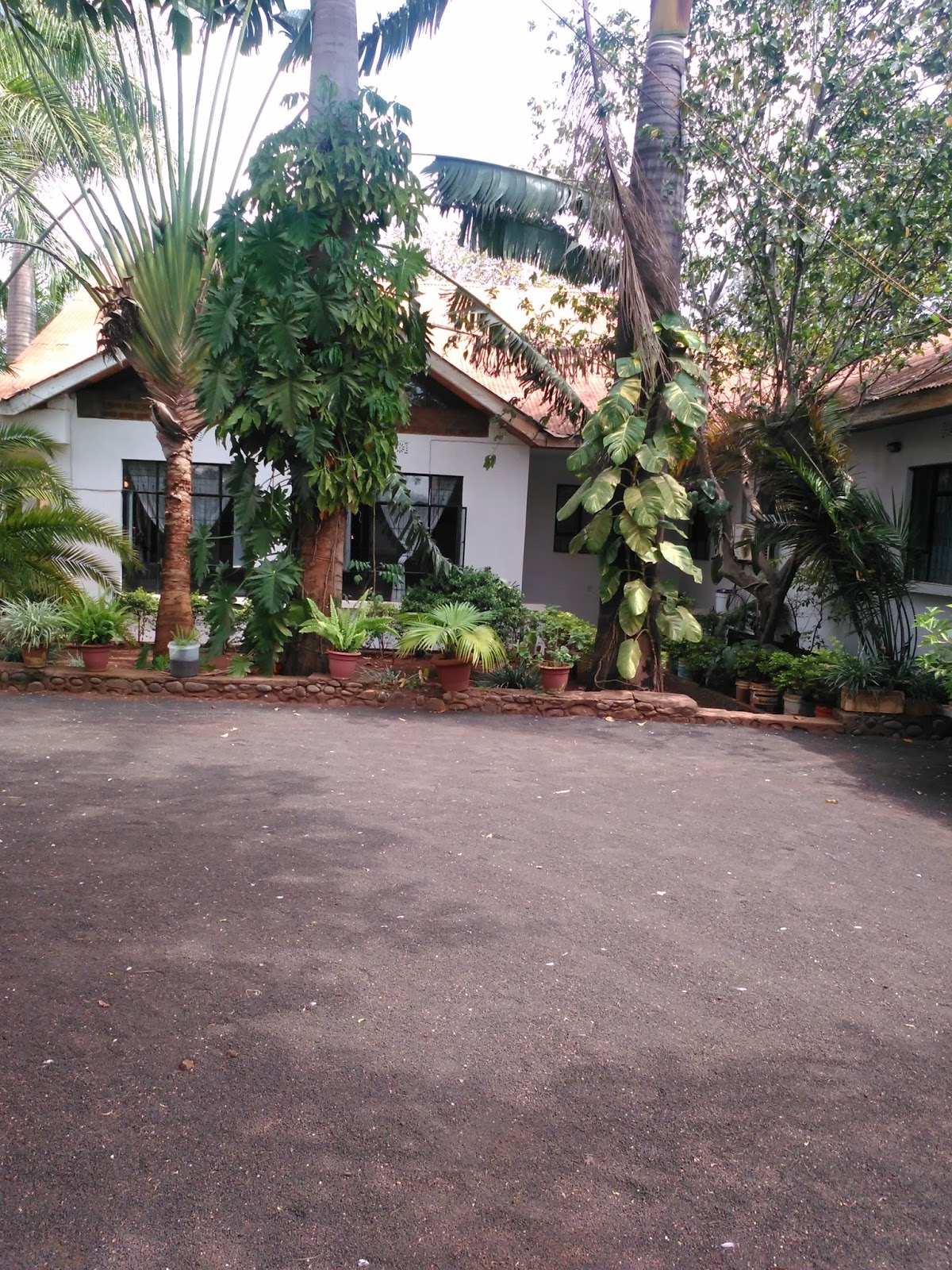 Rent house in Tanzania Arusha rent homes, Houses for sale,vacation