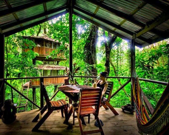 7 years after starting Finca Bellavista, the Hogans sold 51 parcels of land. Among the buildings they’ve built are a base camp, community center, and 5 tree houses. - Your Childhood Dreams Will Be Re-Awakened When You See These Magical Treehouses.