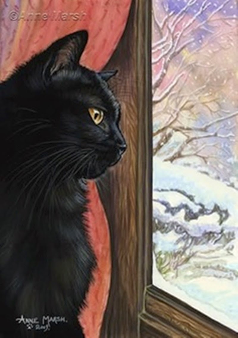 Pati Dokunuşu Kedi çizimleri