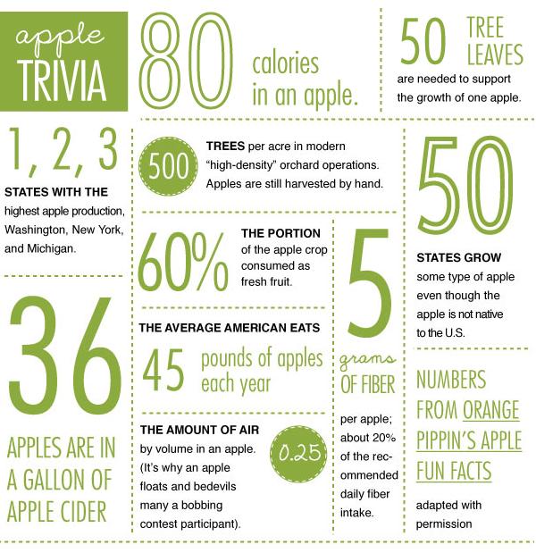 Diary of a Morning Girl: Apple Recipes and Tips & How to Have