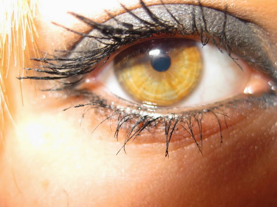 Как выглядят янтарные глаза