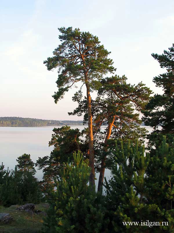 Озеро Сугомак. Челябинская область