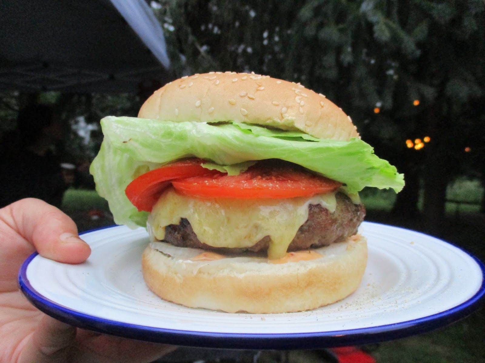 Mennonite Girls Can Cook Curry Lamb Burgers