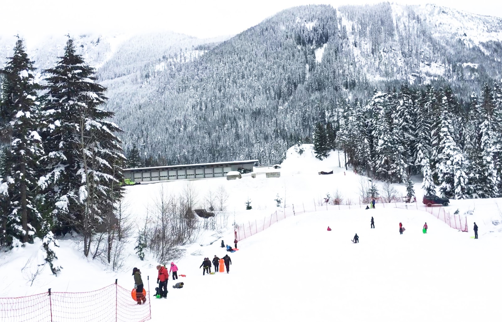 Adventures with Jake Sledding Near Snoqualmie
