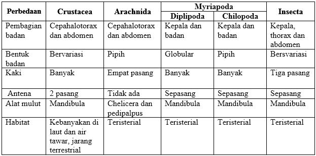 Apa Yang Dimaksud Filum Arthropoda Karakteristik Ciri Morfologi