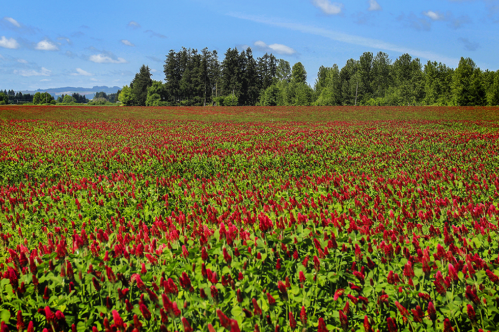 Photographing Oregon Farms