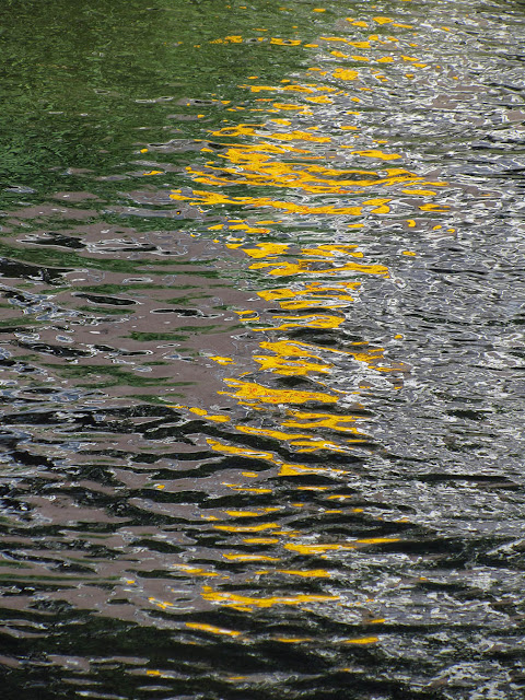 yellow reflection in water