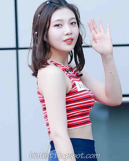 Red Velvet Joy Sekies Photos Red Velvet Joy Sekies Photos