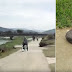 Giant Salamander walks around the streets of Japan