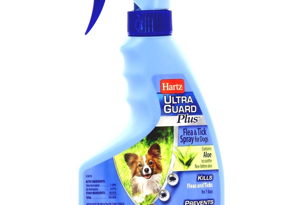 Dog Flea Dog Fleas Treatment