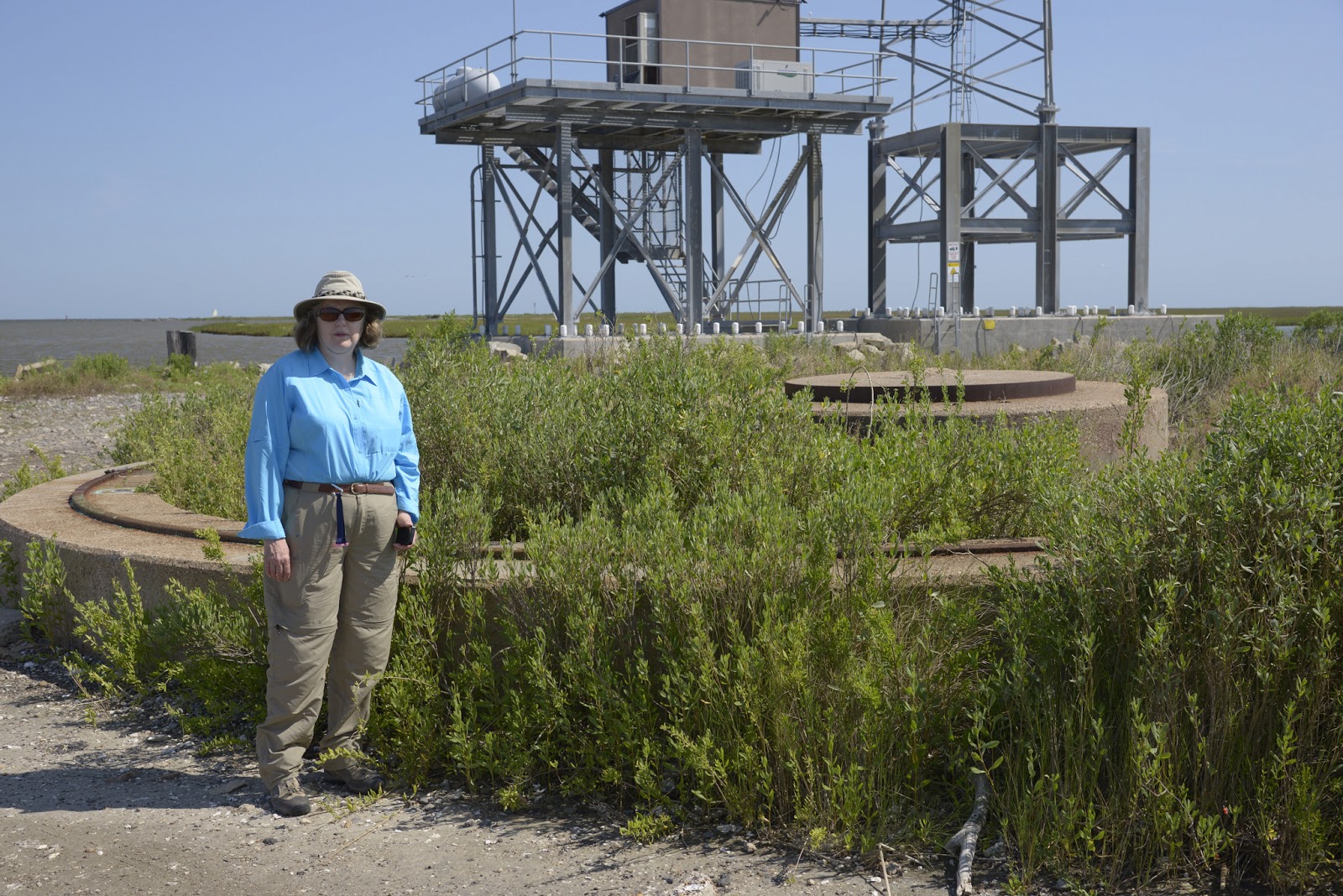 Turkey Tales and Frog Fables: Sea Rim State Park, Sabine Pass and Texas ...