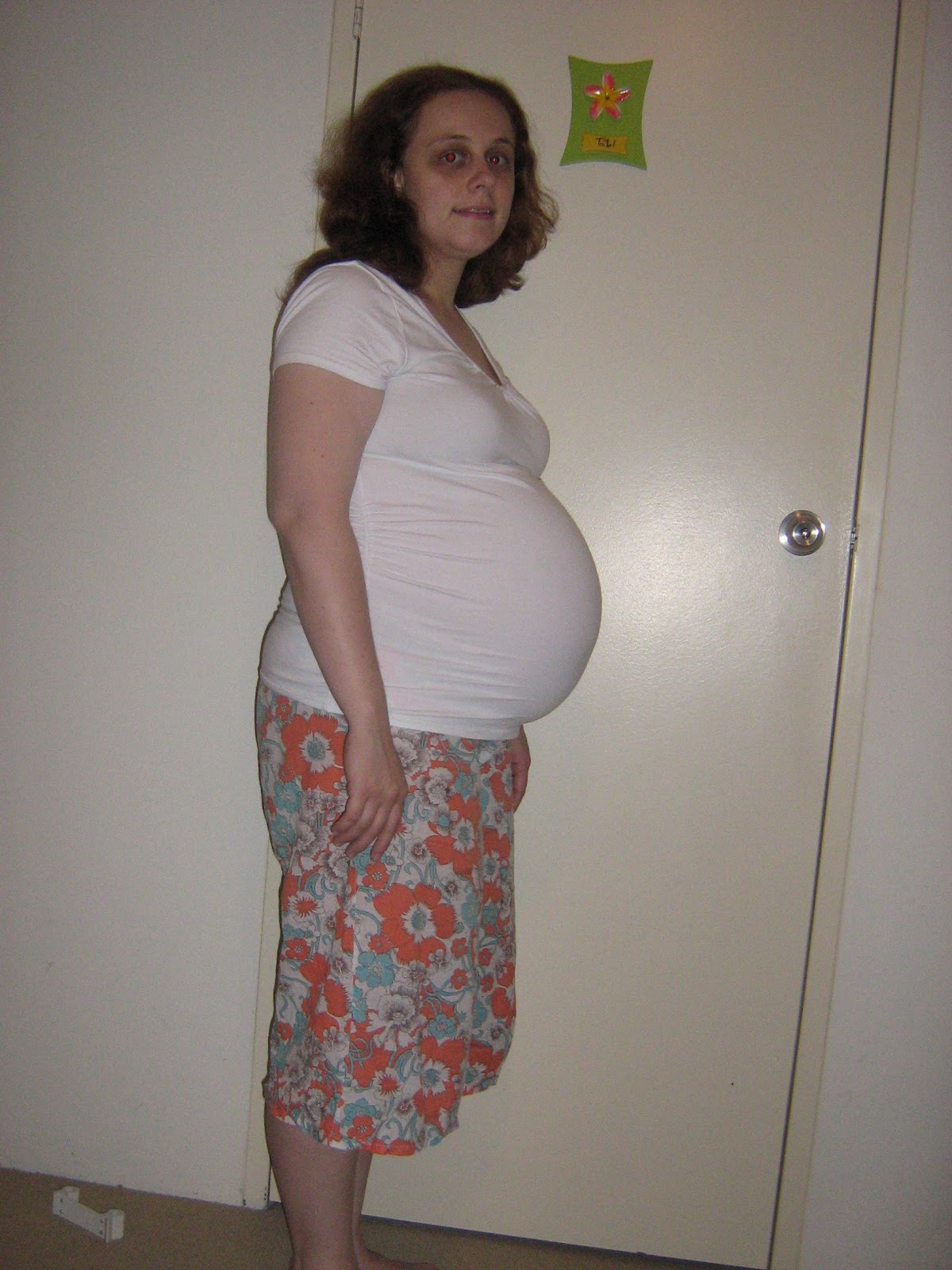 Journal Mumma Big Beautiful Belly 