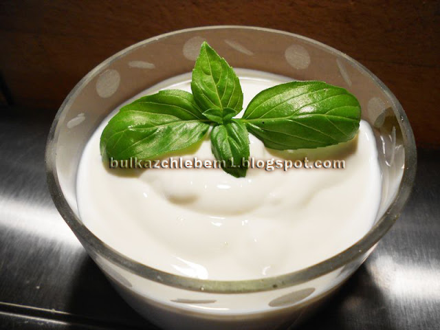 Jogurt grecki naturalny bardzo gęsty