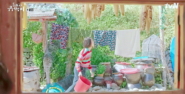 theqoo inserted image