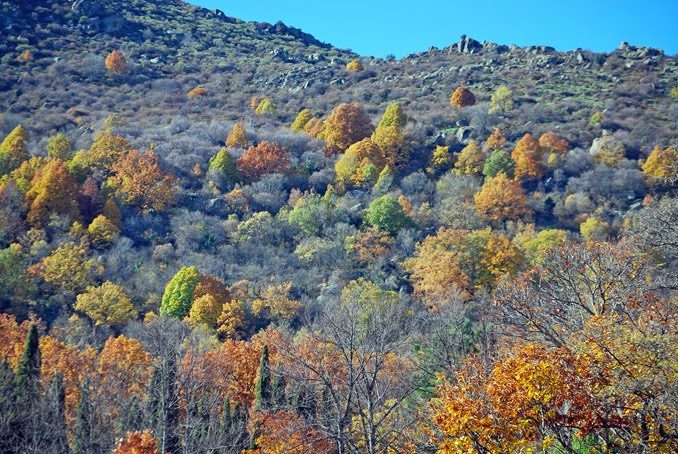 La Herrería en otoño