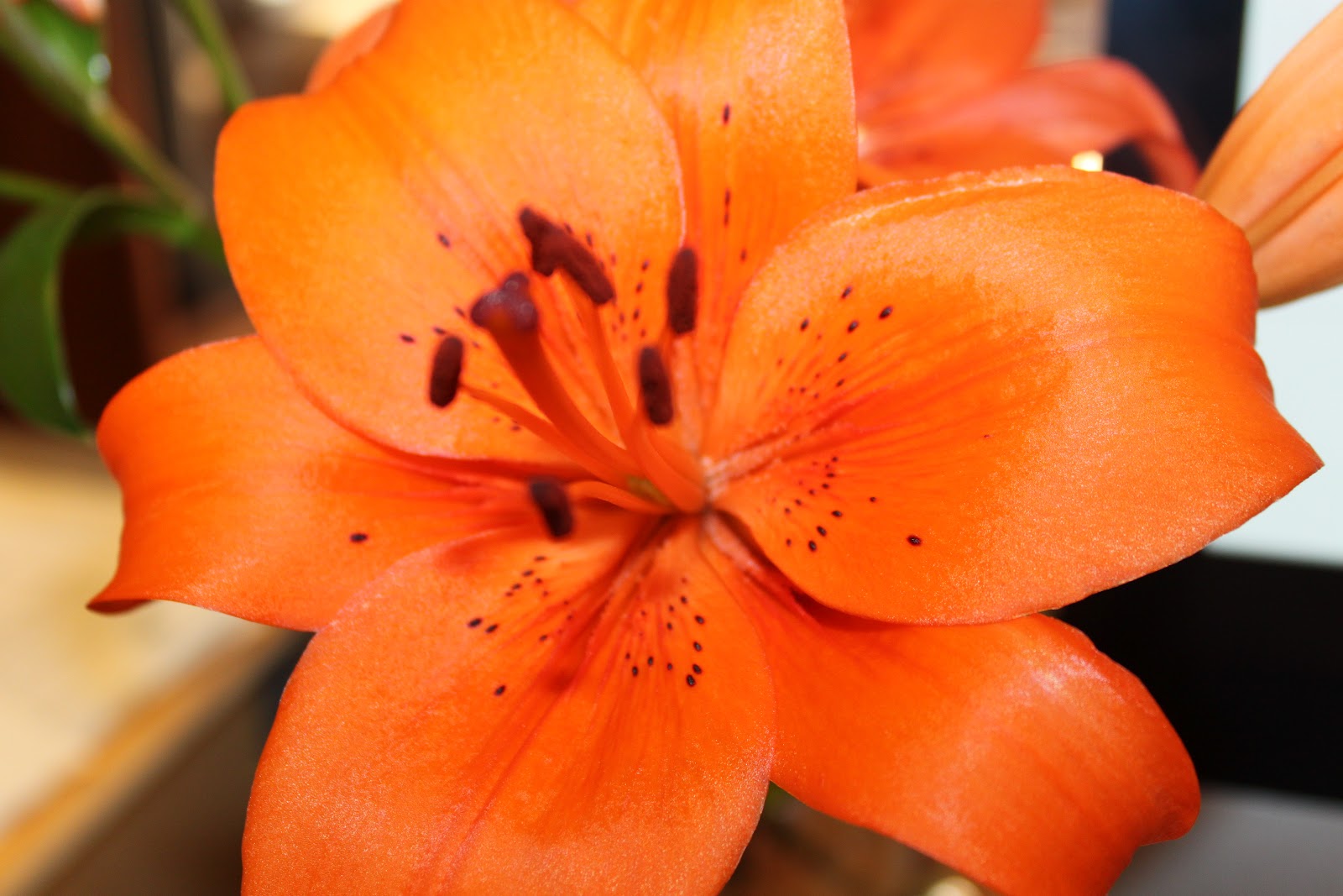 love is in the details Taking time to smell the lilies