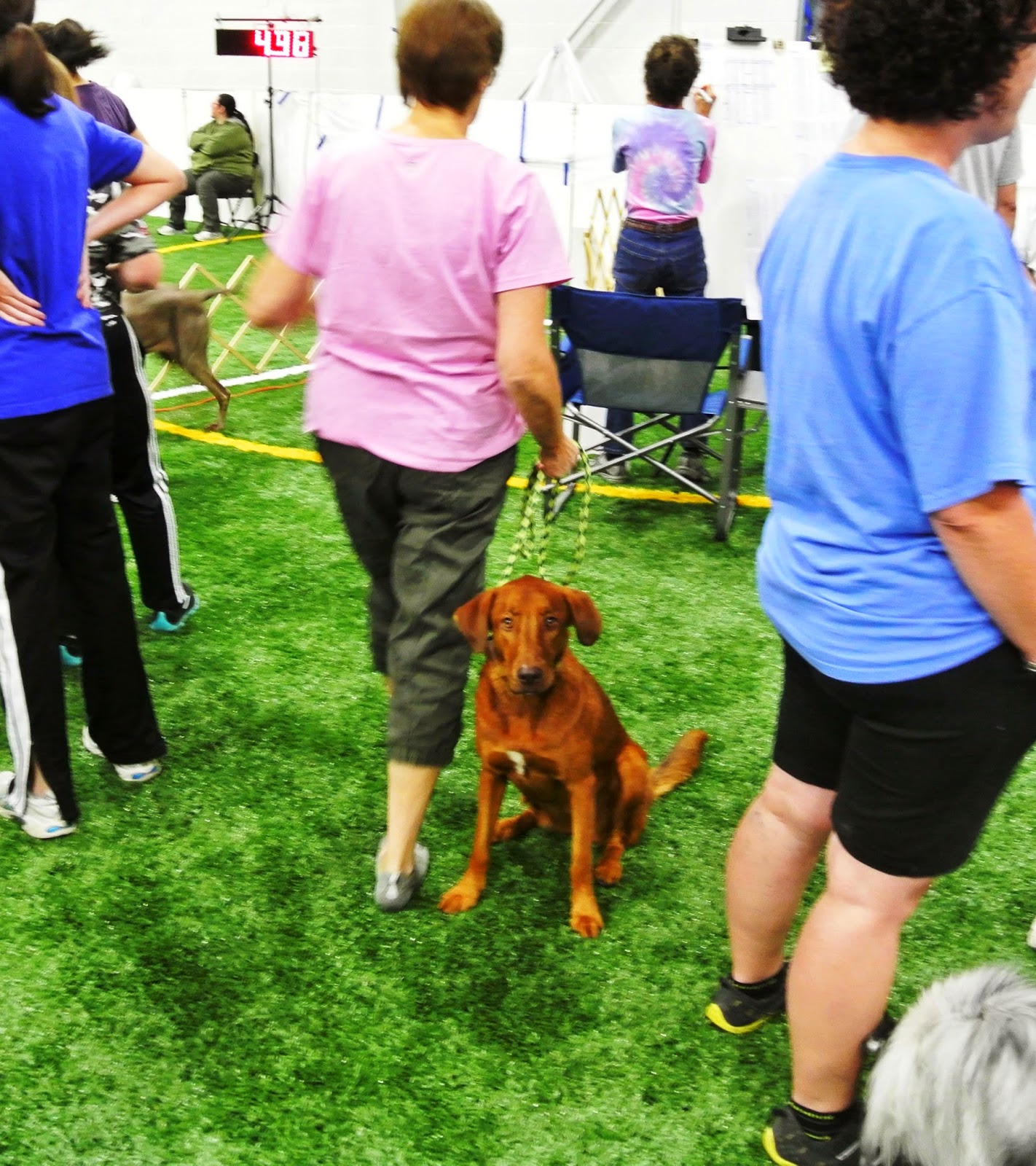 Big Times Kennel March 2015