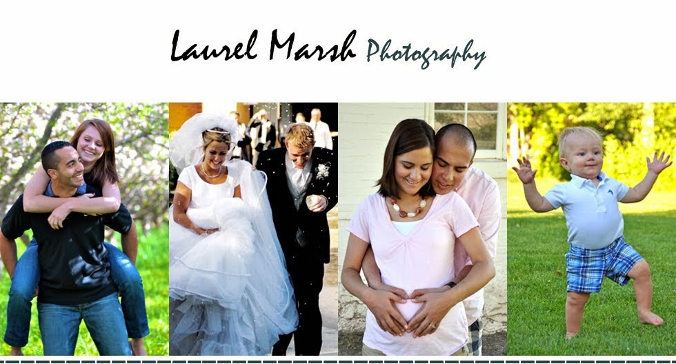 Laurel Marsh Photography