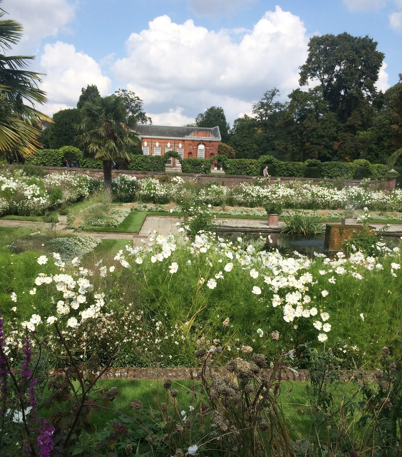 Yaşam İzi Hyde Park, Harrods, Fish&Chips ve Çin Mahallesi