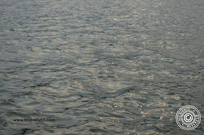 Sun Sparkles landing in the waves (cell photo by Trisha)