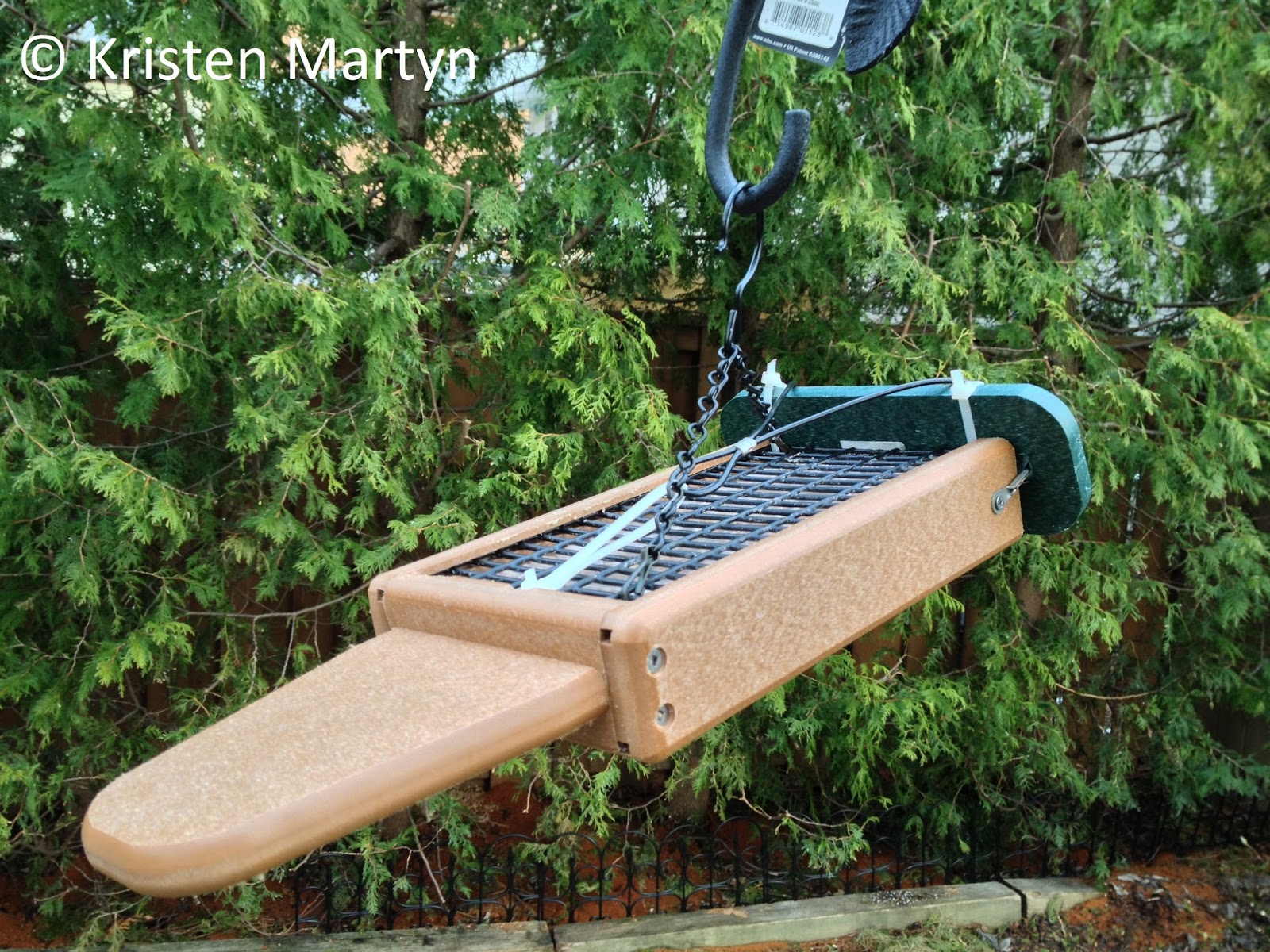 DIY Upside Down Suet Feeder Nature Notes Blog