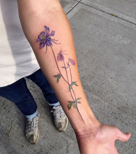 Teses de columbine flores
