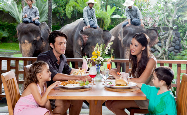Bali Zoo Park Breakfast With Elephant - Singapadu, Sukawati, Gianyar, Bali, Holidays, excursion, Attractions, Bali Zoo Park, Packages
