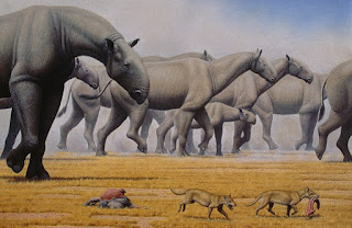 Paraceratherium Paraceratherium