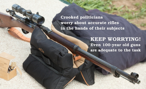swedish_mauser_scoped_4330web.jpg