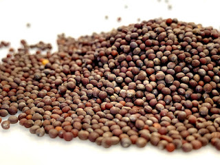 Brown Mustard Seed, whole seed, spice