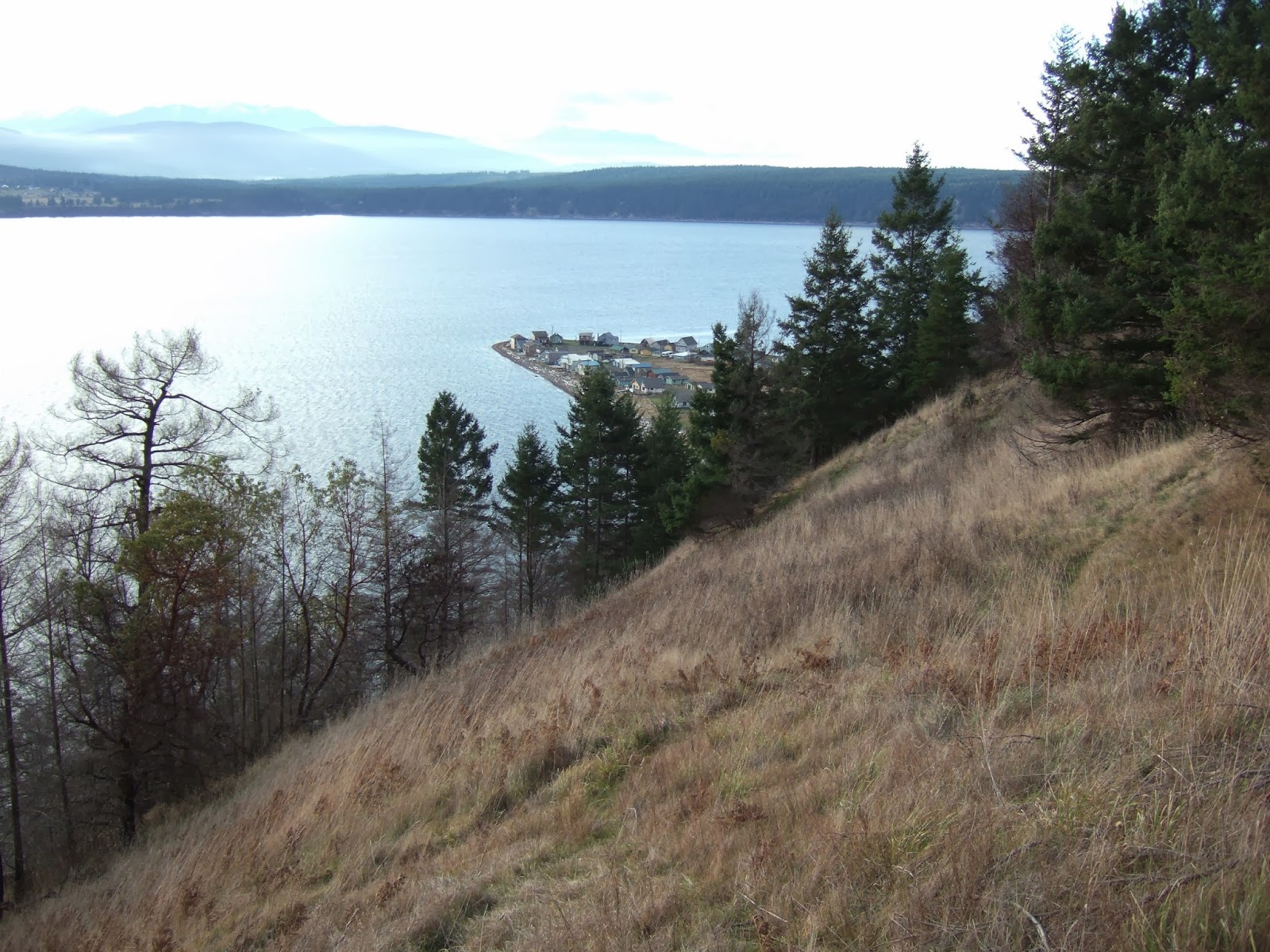 Reading The Washington Landscape Small Prairie At Discovery Bay