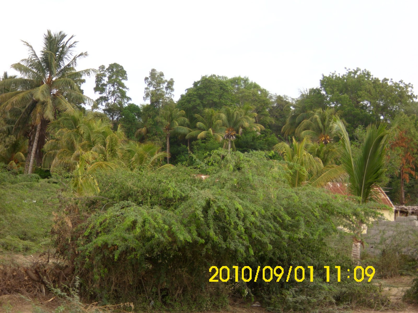 Infos plus Image PHOTOS DE LA BAIE DES MOUSTIQUES