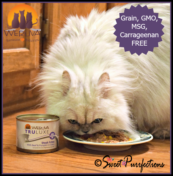 weruva steak frites cat