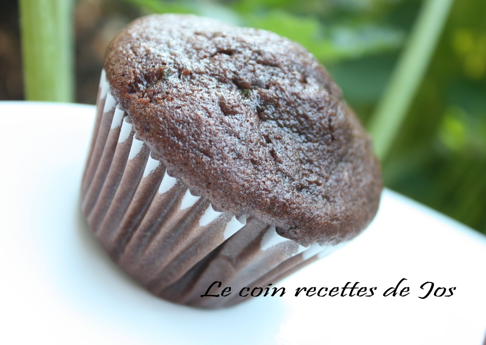 Le coin recettes de Jos MUFFINS MOELLEUX AU CHOCOLAT ET ZUCCHINI