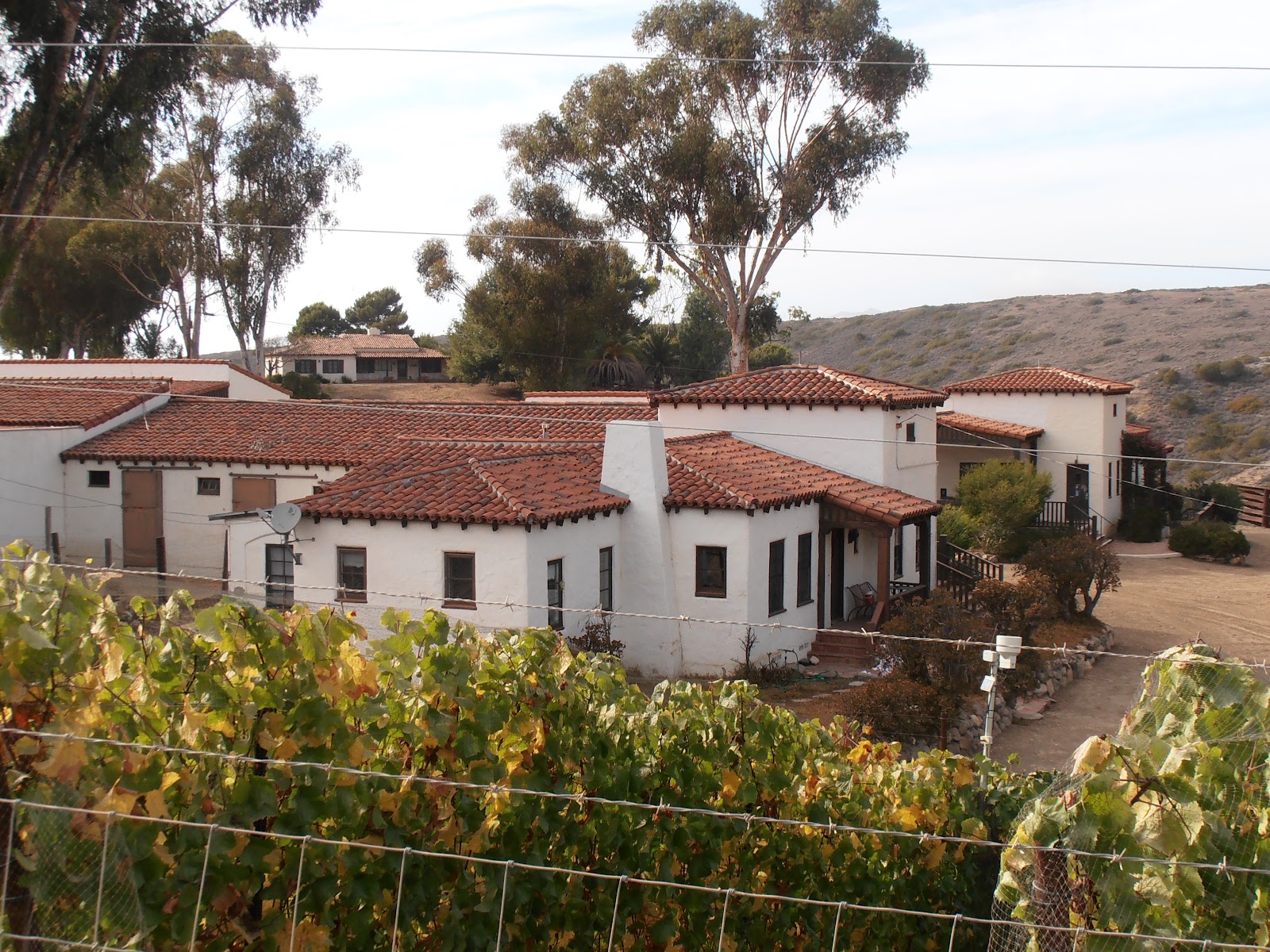 A Journey into the Past Who Owned Catalina Island?