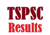 Telangana State Public Service Commission TSPSC Results
