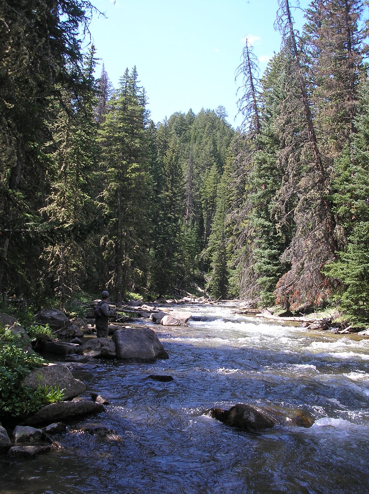 TRAINING WHEELS NOT INCLUDED TONGUE RIVER, WY