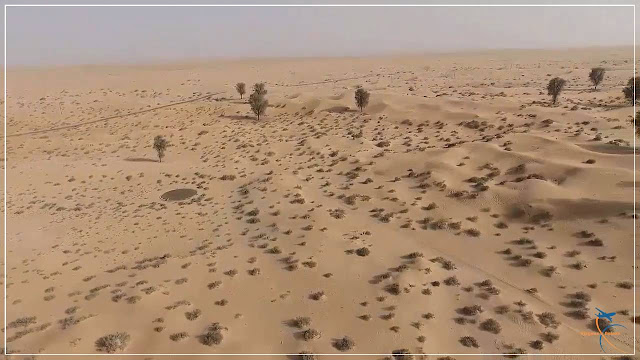 Safári no Deserto de Dubai