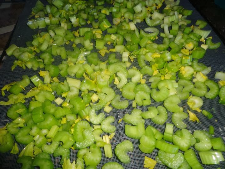 Dehydrating Celery Frugal Living on the Ranch