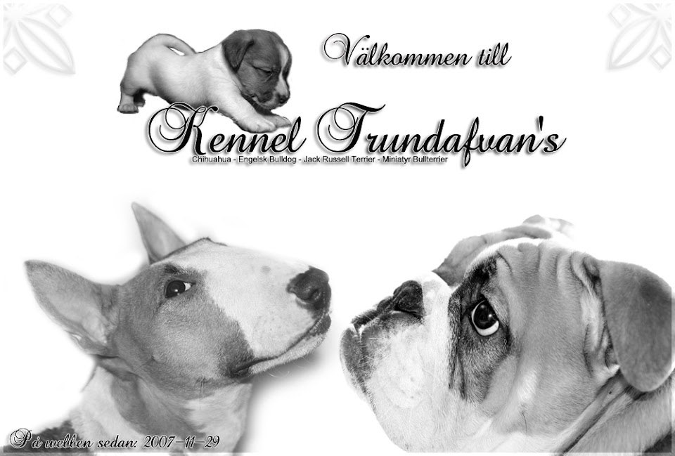 Kennel Trundafvan's