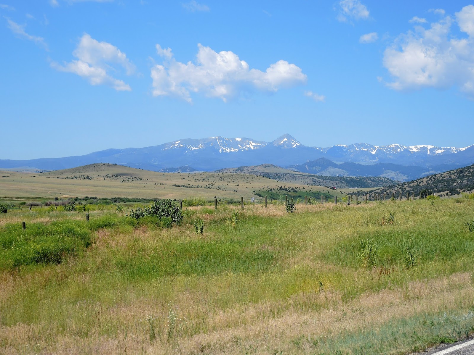 Pillion Papers Green hills in Montana