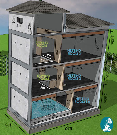 Mẫu bản vẽ chi tiết xây nhà yến 4x8m - Kỹ thuật xây dựng nhà yến ...